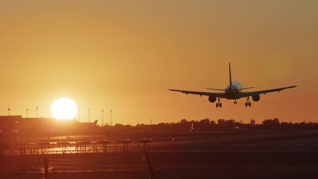 Airplane landing to airport runway at sunset, plane arrivals, international airport spotting, boarding of big passengers international flight.
