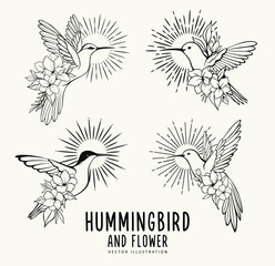 Flying hummingbird and flowers with sunburst