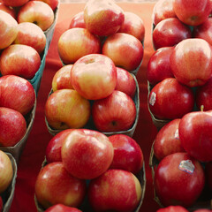 Overhead horizontal view of multiple red apples in small pots on top of a red cloth  Layered with a filled frame. Close up shot. Fresh and healthy food with light and shadows. 
