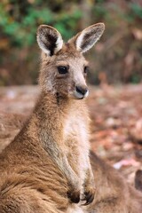 Port Arthur, Tasmania, Australia