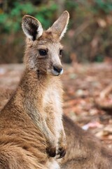 Port Arthur, Tasmania, Australia