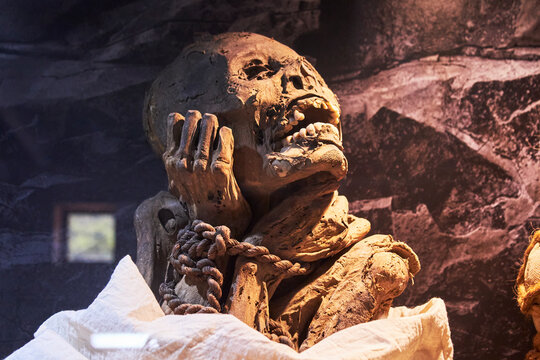 Momia y trepanaciones craneanas de la cultura Chav&iacute;n de Per&uacute;.