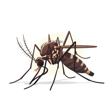Mosquito Angry Cartoon, Isolated Transparent Background Images