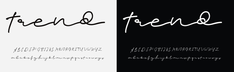 Signature Font Calligraphy Logotype Script Brush Font Type Font lettering handwritten