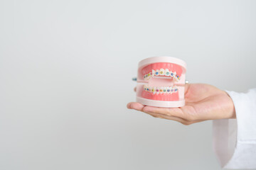 Dentist with Orthodontic tooth model and bracket or brace. Clean and Scrape off tartar. May...