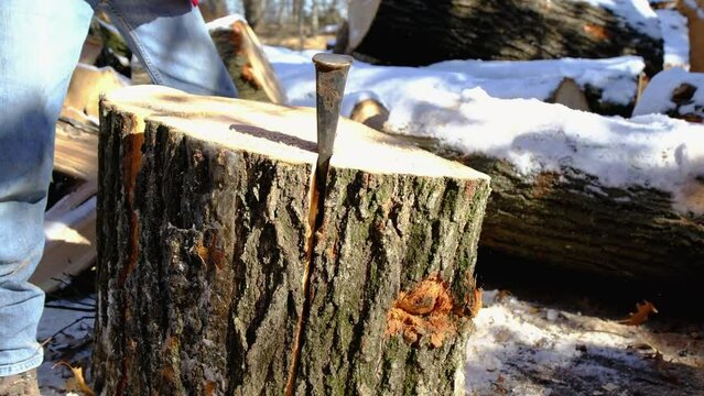 Close up and slow motion while splitting oak log by striking iron wedge stuck in gap. Preparing firewood for winter season.