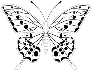 Fototapete Kinder Black and white illustration of a butterfly