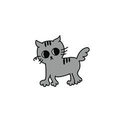 灰色の猫