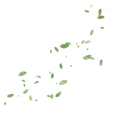 leaves blowing in the wind, Leafs, L leaves falling.