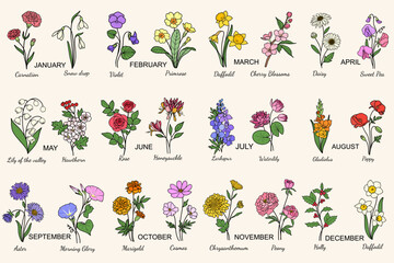 24 Birth Month Flowers Hand-drawn Line Art Illustration, Minimal Style Flower
