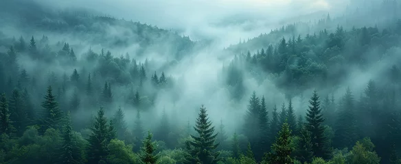 Crédence de cuisine en verre imprimé Forêt des fées Wide angle shot of forest with heavy fog. Created iwth Ai