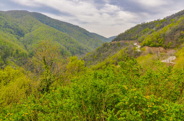 scenic view of Yesil Vadi (Green Valley) near Termal (Yalova, Turkiye) 