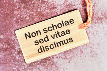 Non scholae sed vitae discimus It is translated from Latin as We study not for school, but for life...