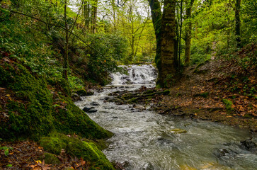 scenic waterfalls on the mountain stream in Termal Kaplicalar park (Yalova, Turkey)