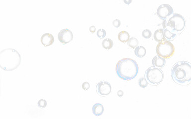 bubble transparent . soap bubbles isolated on white PNG bubble transparent