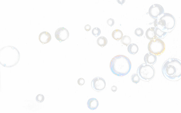 bubble transparent . soap bubbles isolated on white PNG bubble transparent
