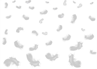 White feathers floating in the air, white feathers isolated on transparent background