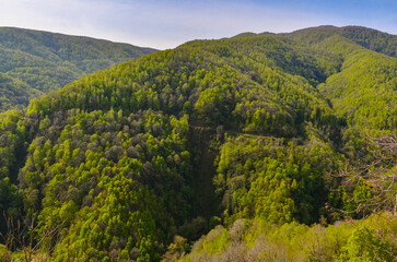 Fototapeta na wymiar scenic view of Yesil Vadi (Green Valley) near Termal (Yalova, Turkiye) 