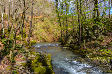 Çağlayan creek in the mountains near Termal (Yalova, Turkey)