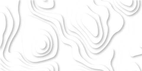Vector white geometric 3d papercut wave carve line element. white wave decoration ornament. Luxury papercut white background. topographic canyon map light relief texture, curved layers and shadow. - obrazy, fototapety, plakaty