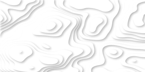 Vector white geometric 3d papercut wave carve line element. white wave decoration ornament. Luxury papercut white background. topographic canyon map light relief texture, curved layers and shadow.
