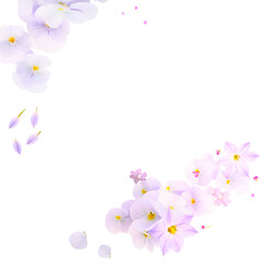 decorative floral background with violet viola