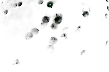 glitter transparent background