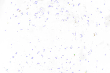 glitter transparent background