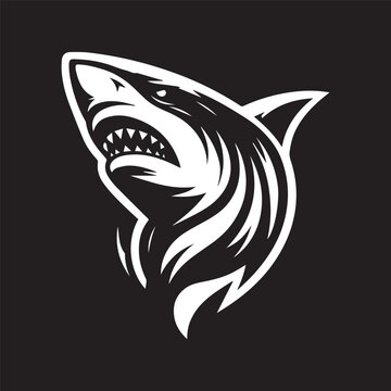 head of a shark fish logo design illustration
