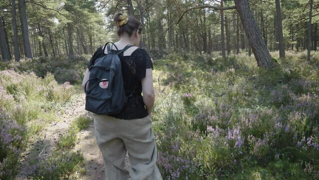 A woman walks through a forest and heathland, with the camera following her. Filmed in Stilo, Poland.