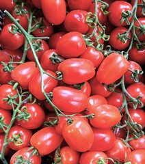 red cherry tomatoes