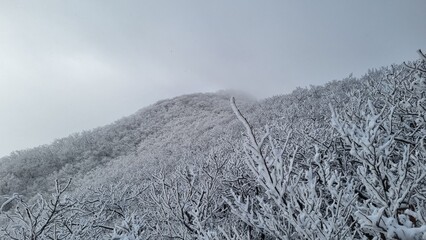 겨울산, 그 아름다움의 극치
