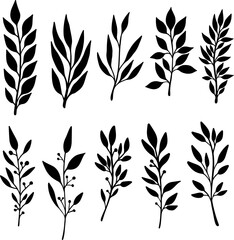 Set of hand drawn floral branches. Design element for decoration. Vector illustration