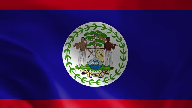 Belize Waving Flag, Belize Flag, Flag of Belize Waving Animation, Belize Flag 4K Footage