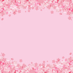 ピンクの桜の花の上下フレーム