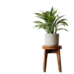 A potted plant sits on a wooden stand