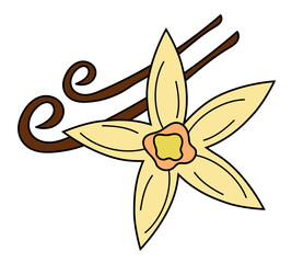 Vanilla flower and pod. Spice, condiment and herb Icon, sticker, logo, emblem. Vector flat cartoon illustration.