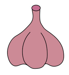 Bulb Garlic isolated on white background. Vector flat illustration.
