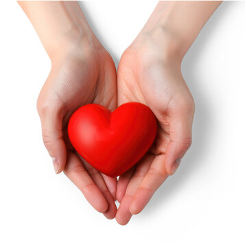 Two Hands Holding a Heart Clipart Isolated on transparent background