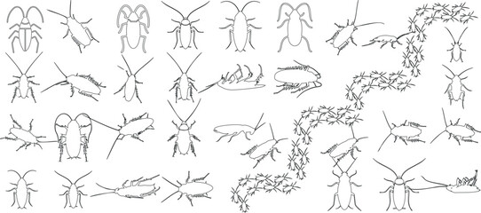 Fototapeta na wymiar Detailed cockroach sketches, perfect for entomology enthusiasts, educational materials, artistic inspiration. Collection of insect drawings showcasing diversity and intricacy