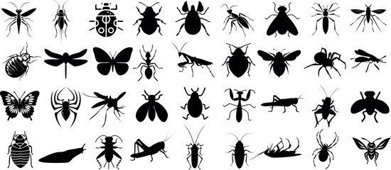 Insect silhouette, detailed black insect vector shapes on white background, perfect insects for educational content, graphic design, decorative elements