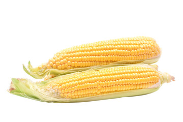 Fresh corn isolated