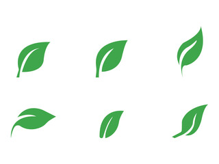  Green leaf icon set. leaf icon on isolated background.