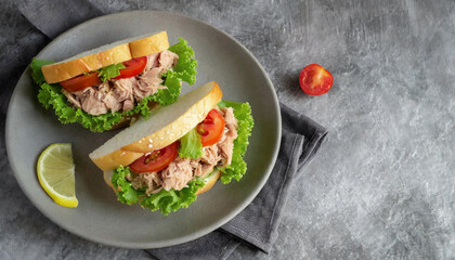 Healthy sandwiches. Top view shot of Sandwiches with tuna and fresh vegetables, copy space, healthy food