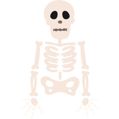 Skeleton Illustration