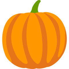 Pumpkin Illustration