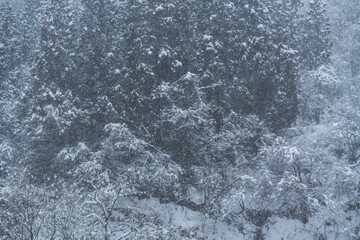 真っ白で美しい雪国の風景