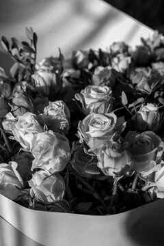 Monochrome photography of a bouquet of roses.