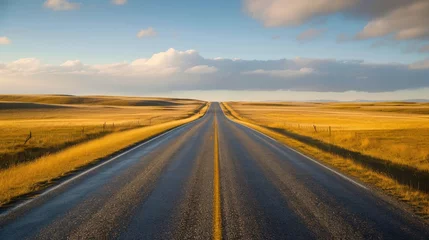 Foto op Plexiglas A road that stretches straight through the grassland © Ainur