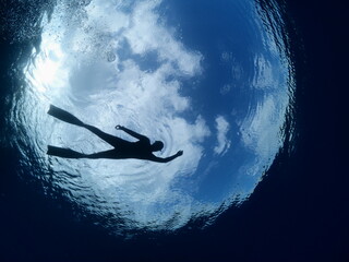 free diver underwater discovering ocean